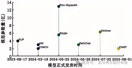 文章配图2