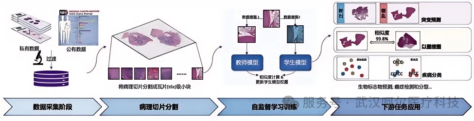 文章配图2